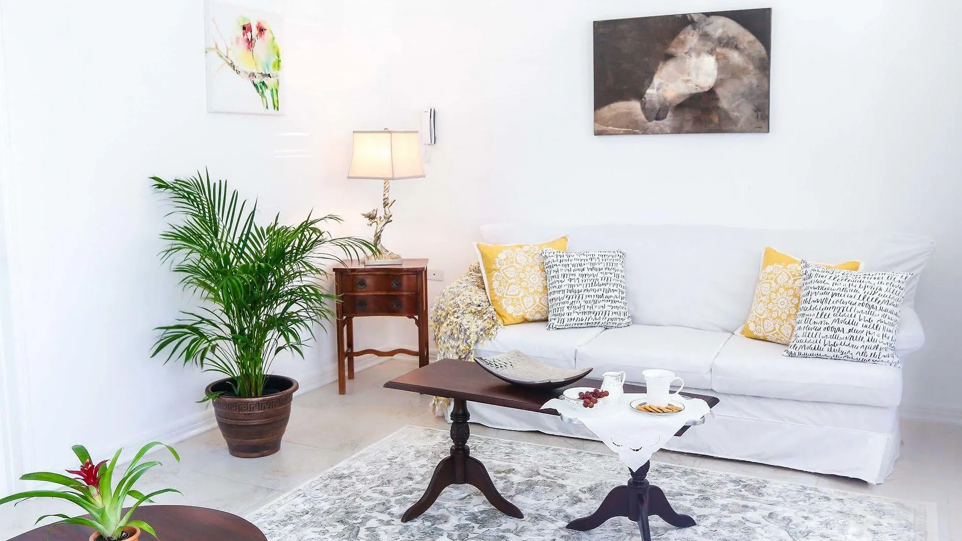 Cattleya'S New Kingston Guest Apartment Giamaica