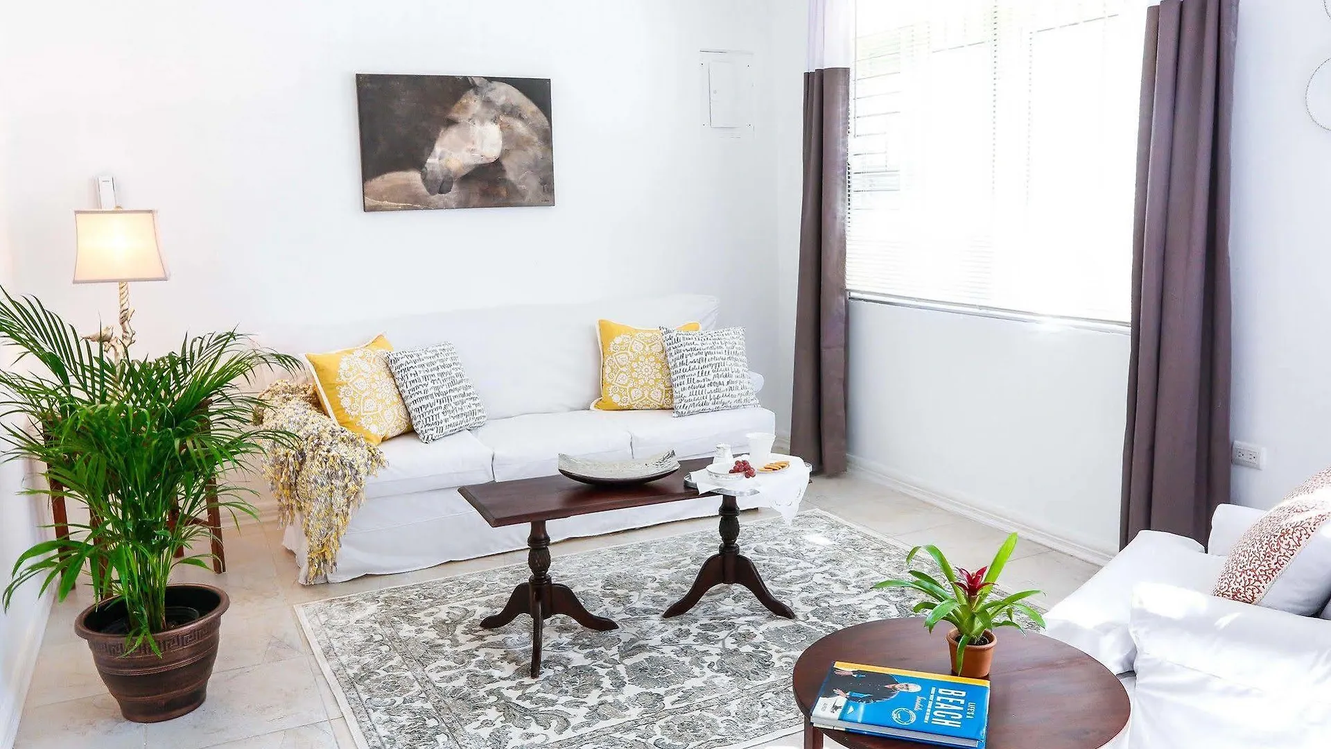 Cattleya'S New Kingston Guest Apartment 0*,